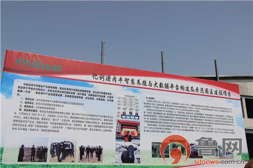 阳信数字化牧场亿利源,阳信亿利源范围