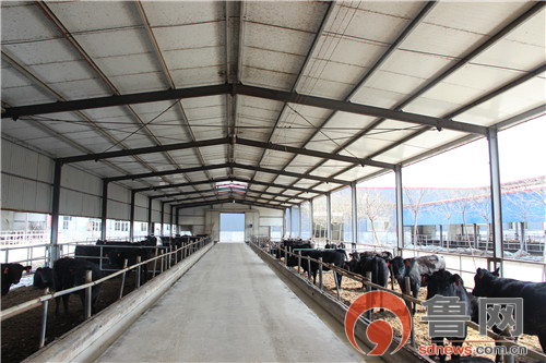 阳信数字化牧场亿利源,阳信亿利源范围