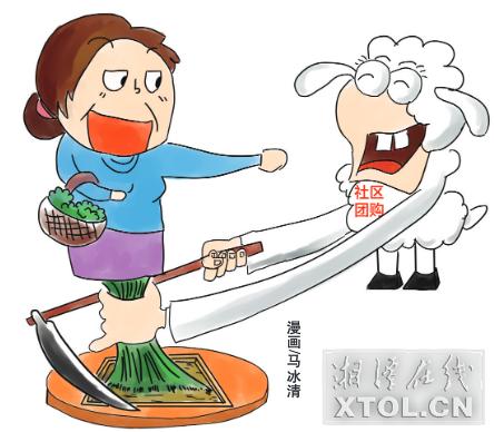 社区团购真的稳赢吗,社区团购被官媒点名