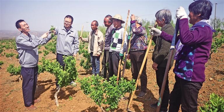 兴产业为群众谋出路,村里来了个书记带领全村致富