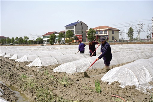 资阳暑假幼托班,资阳哪里有田往外承包