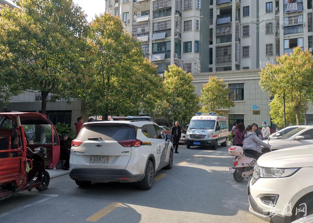 3岁女童从11楼坠楼后续,3岁女童坠楼身亡后续