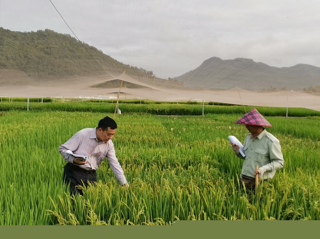 揭开远古四川的神秘面纱,揭开南极的面纱开启不一样的旅行
