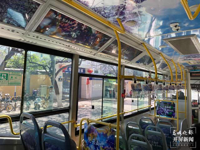 昆明蓝花楹主题公园路线,昆明赏蓝花楹巴士