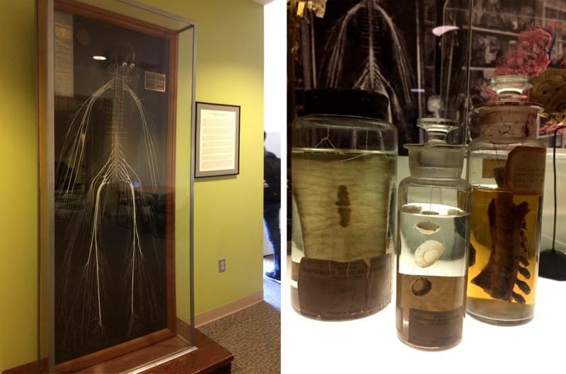 人体解剖的黑暗历史,人体解剖的黑暗故事