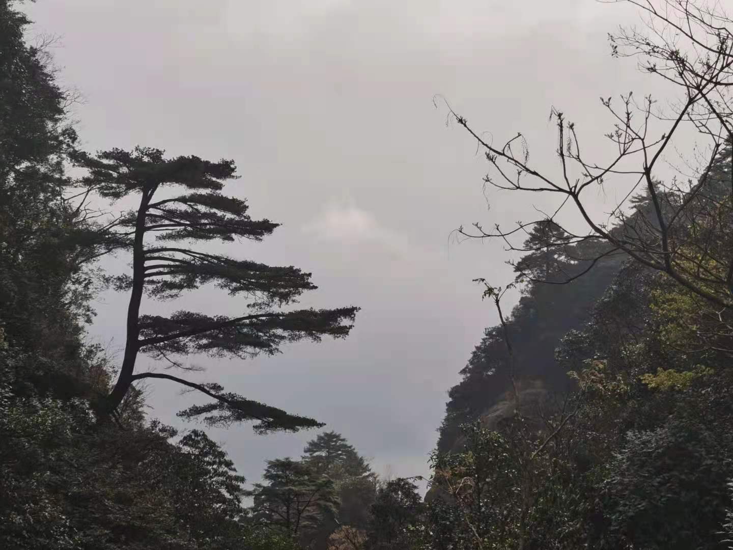 南岭探秘｜物之篇：它是世界地质与生态双珍宝，未来可期