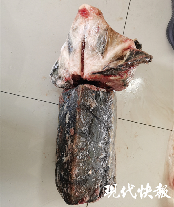 长江鳤鱼被判刑,长江鲟被判18个月