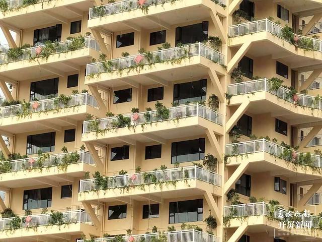 长满绿植的楼房,爬满绿植的建筑