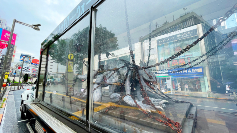 带你了解真实的日本,日本真实的奇异现象
