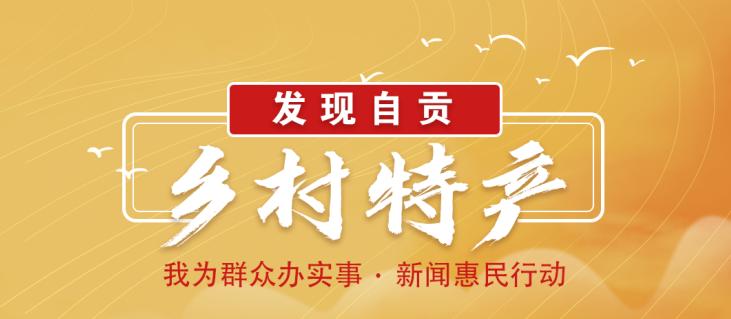 土里刨出“银疙瘩”团结生姜富了一方百姓