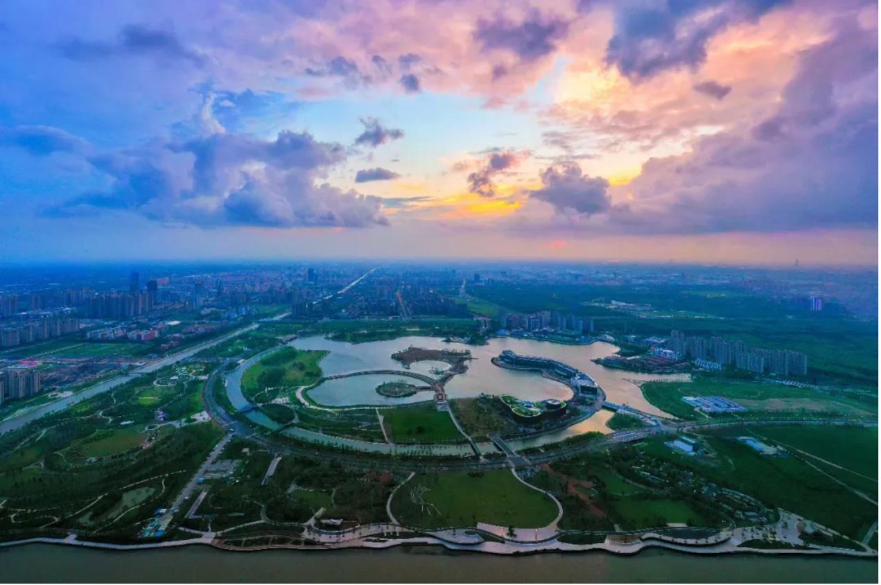 顶流人气震惊圈内人,顶流的魅力有多大