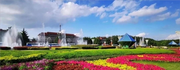 城阳百强企业排名,青岛城阳区各区的发展