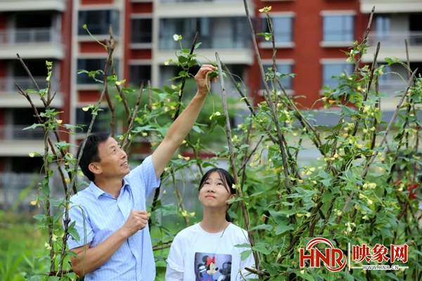 商城县思源中学：劳动育人结硕果潜心育人绽芳华