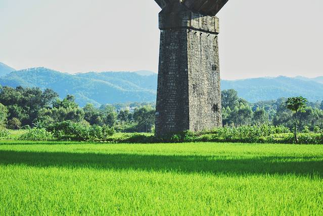 路过人间无非一瞬间歌曲,路过人间无非一瞬间舞蹈