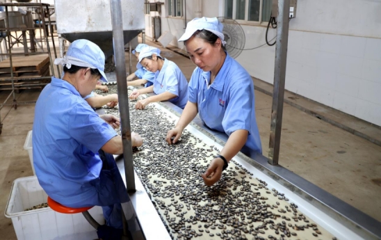 团风：绿色健康食品加工业风生水起