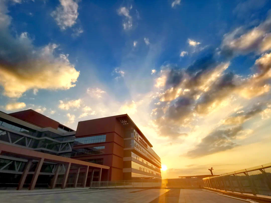 华西医院李为民最近视频,华西医院院长李为民电话