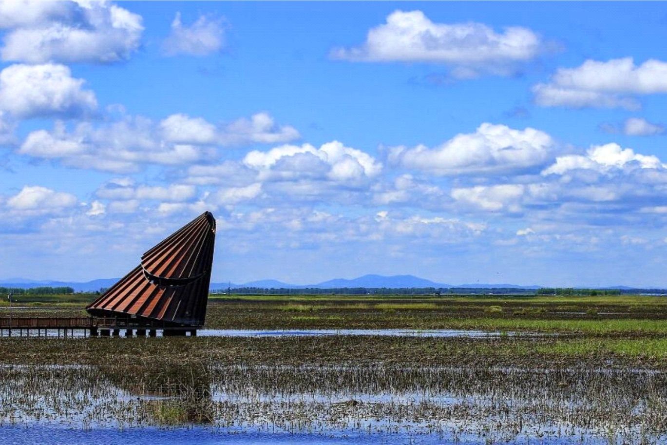 “湿”意富锦，值得“稻”访