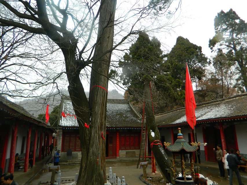 少华山一日游时间攻略详细,少华山国家森林公园路线图