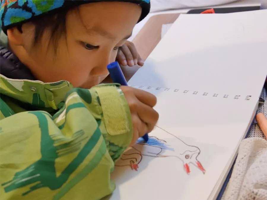 他叫辛巴，不是狮子王，8岁穿越12国：最好的教育，永远在路上