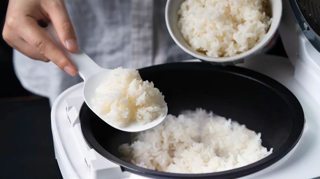 别再从日本背饭煲了！中国造的“铸铁电饭煲”，做饭媲美万元级