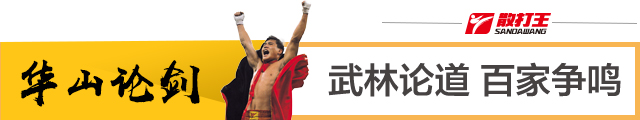 武术套路有哪些基本功,武术之各种套路
