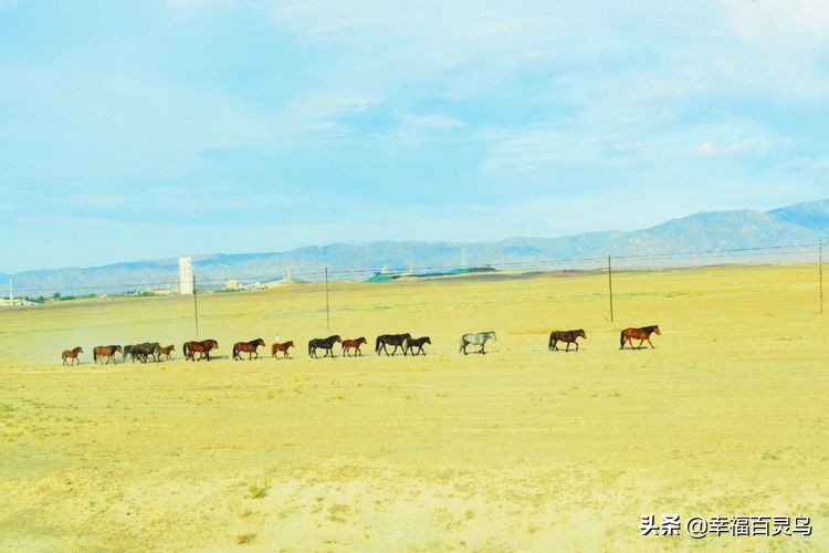 西天取经自驾游攻略,贵州出发自驾敦煌旅游攻略