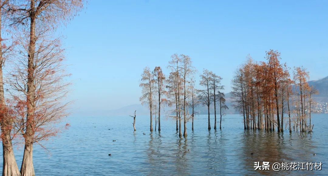 大理洱海龙龛码头4天3晚住宿,大理洱海龙龛码头是一个地方嘛