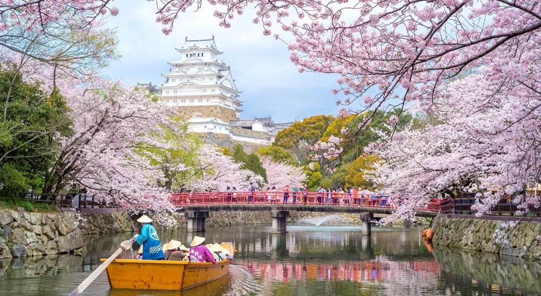 3个月全家移居日本？买房就拿日本经营管理签证？