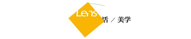 他们热爱平凡生活，有着无法动摇的个性