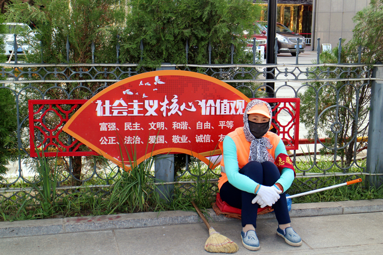 城市园林绿化提升工作,新城区市政园林绿化工程