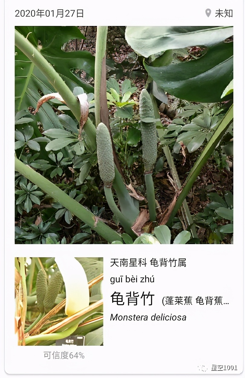 春节假期记,记录2022春节假期