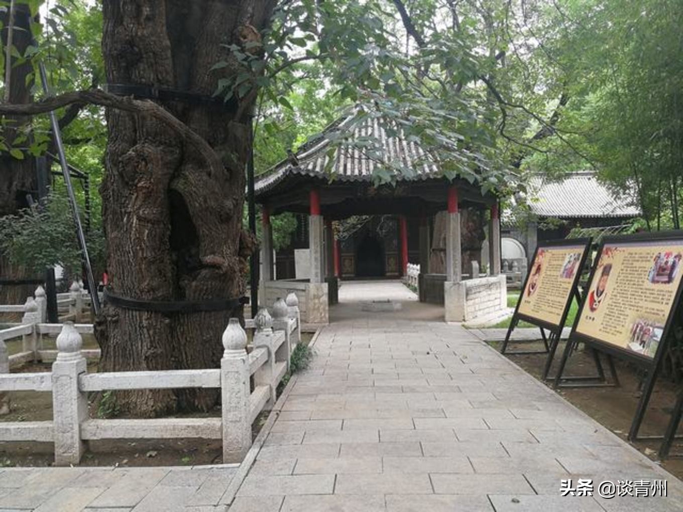 青州古城一日游视频,青州古城夜晚一日游