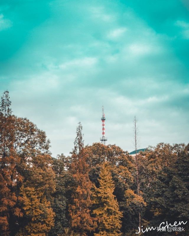 500块钱的相机能拍出好看的照片吗,500块钱的微单相机推荐