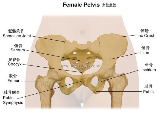 馨悦佳人盆底修复,馨悦佳人产后修复价格