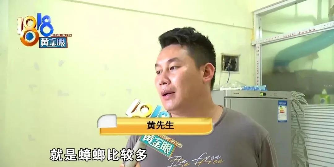 租房子蟑螂太多不想租了怎么办,租房蟑螂多和房东退房如何说