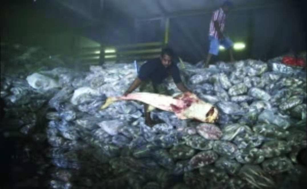 无数的血汗工厂，“*灯区红**”合法，泰国下一步该何去何从？