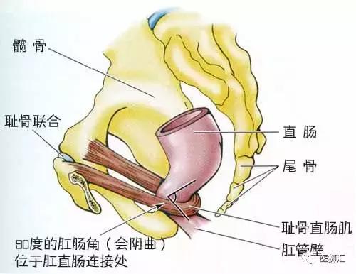 带薪蹲坑指南,蹲坑指南