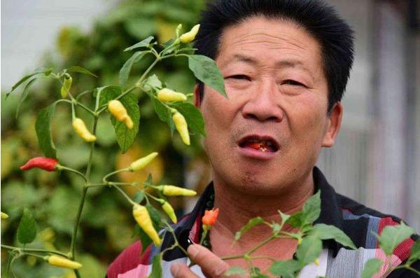 中国辣王李永志吃碎辣椒配白酒,中国辣王李永志讲哪里最能吃辣椒