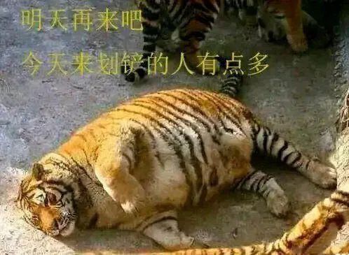 假大师视频,假大师有哪些
