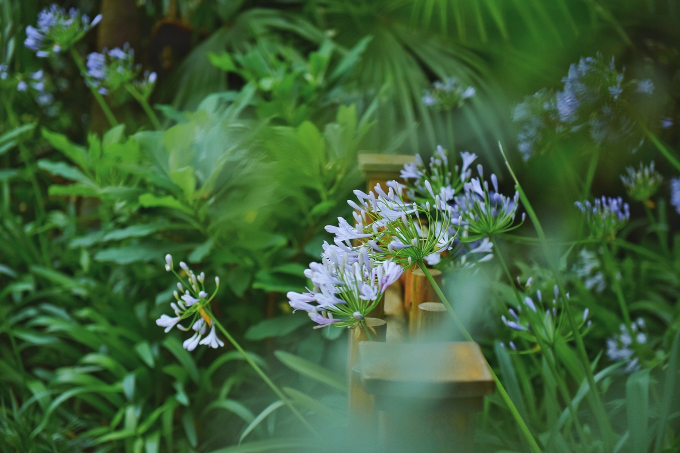 绿色世界花的海洋，在十里芳菲宠爱自己的24小时