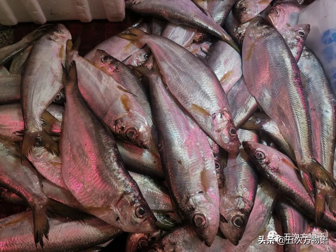 青岛海鲜市场价格表今日,青岛哪个农贸市场海鲜最便宜又好