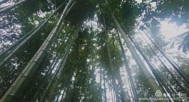 西乡周边景色美的地方,西乡哪里有夜景好看的