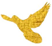 爱贝少儿英语活动,爱贝英语开学