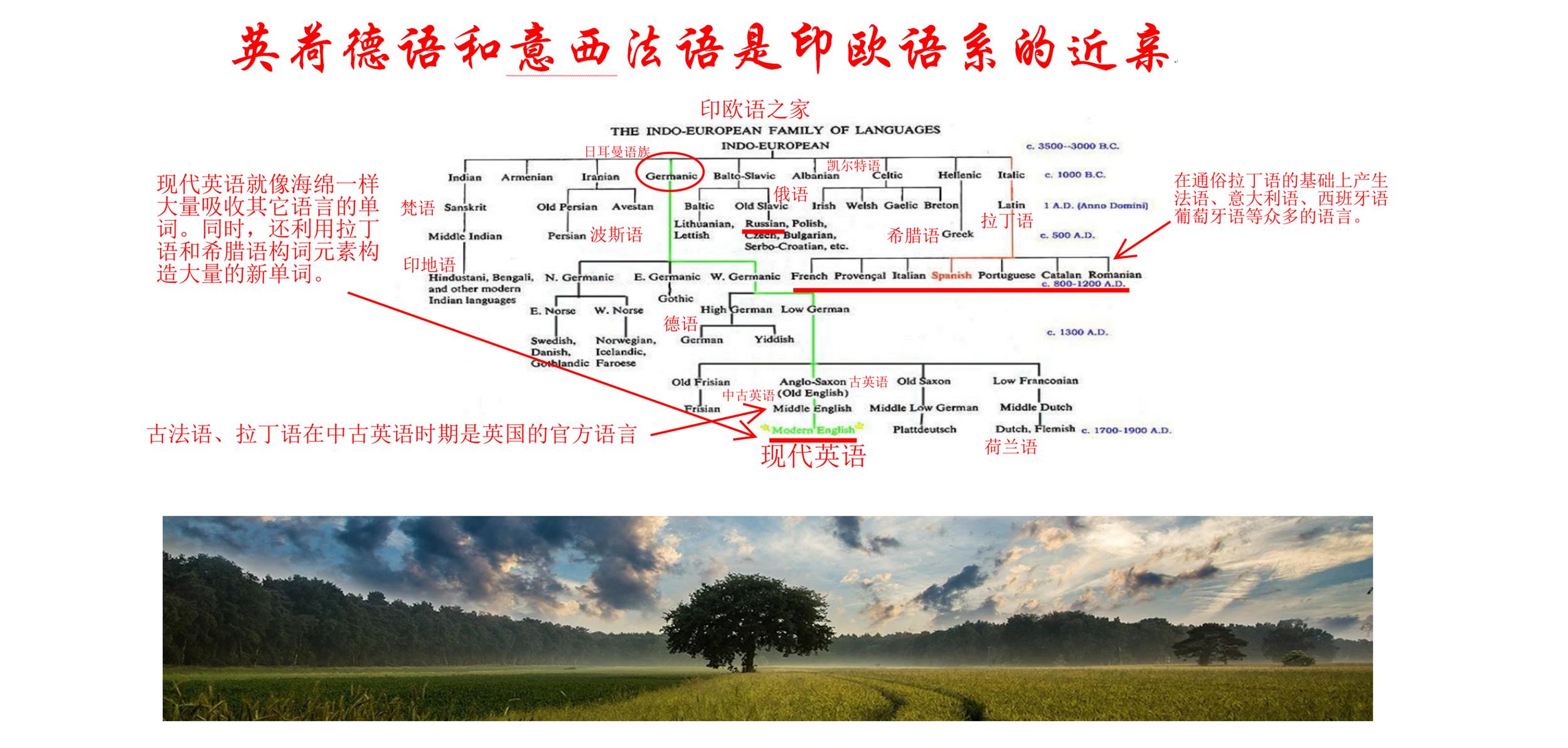 一张图搞清语法,西班牙语和德语的关系