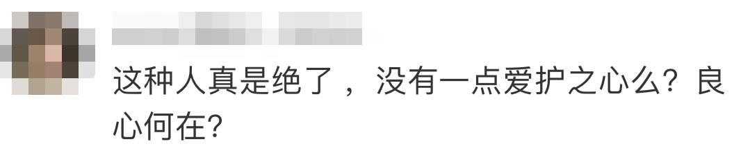 连踹四脚男子街头踢死小猫,男子虐待猫咪被学生暴打
