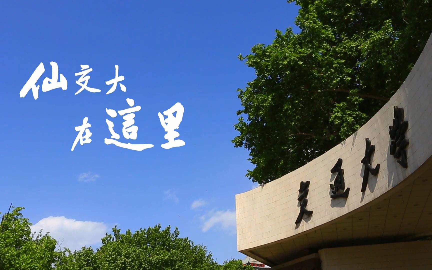 考985小学五年级要有什么水平,能考上985的孩子小学是怎么样的