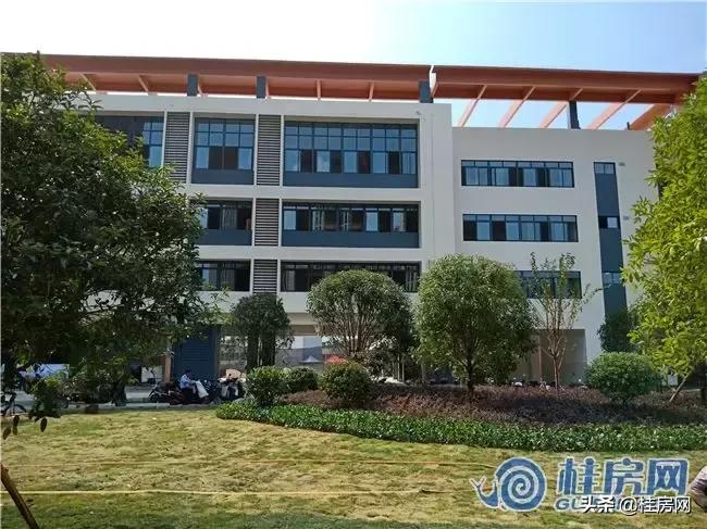 临桂市区风景校园,临桂小学环境