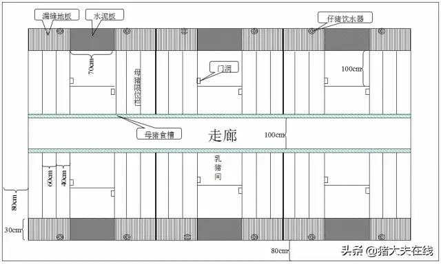 养猪猪舍设计建造,养猪最好的猪舍建造方法