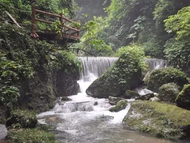 成都周边一日游适合10岁小朋友,成都周边一日游景点推荐2021
