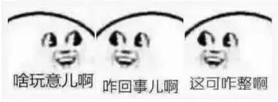 盘点那些被人类玩疯的动物,盘点被人类玩坏的生物